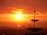 assorted photographs with the good old Minolta Dimage 7